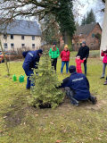 Baum_pflanzen_2