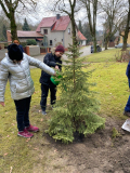 Baum_pflanzen_3